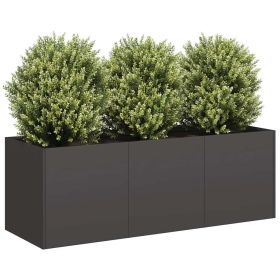 Planter Black Cold-rolled Steel Large Outdoor Planter Planters